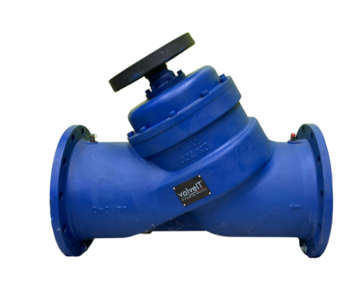 Triple Duty Valves